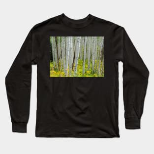 Aspen Trees Long Sleeve T-Shirt